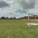 stadium mini