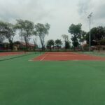 tenis