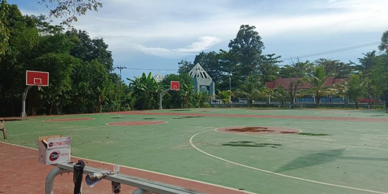 lap basket